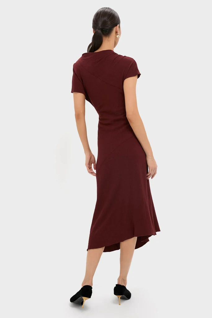 Black Cherry Dena Midi Dress - Image 4