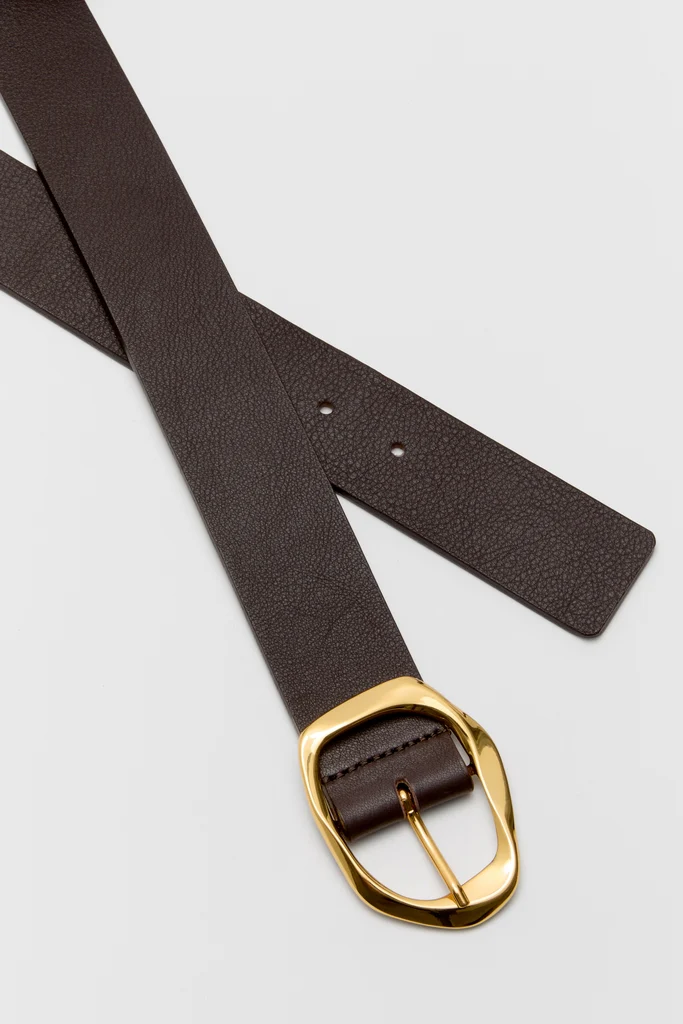 Chocolate and Gold Edmond Mini Belt - Image 4