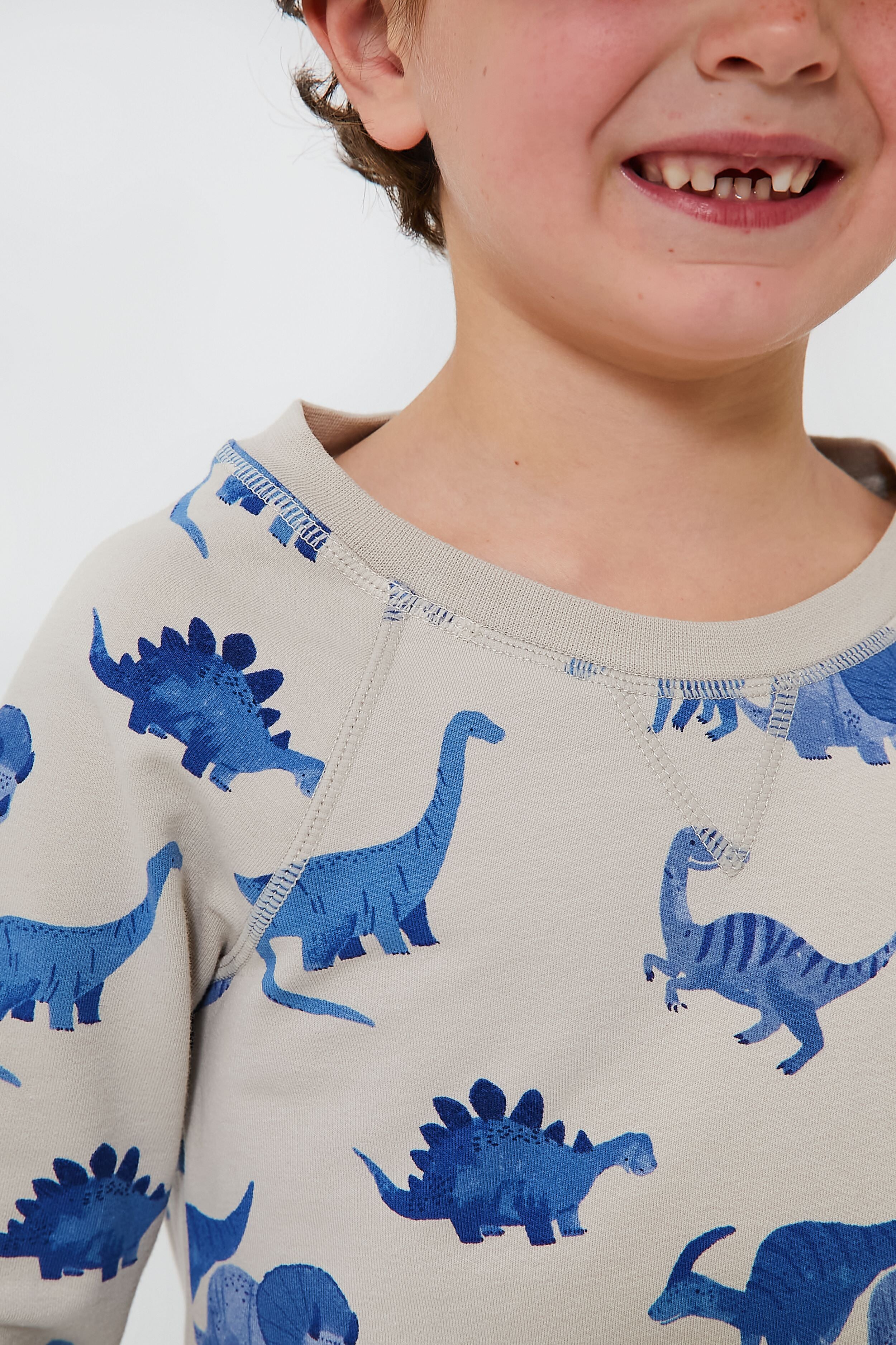 French Terry Dinos Raglan Sweatshirt and Jogger Set - Image 5