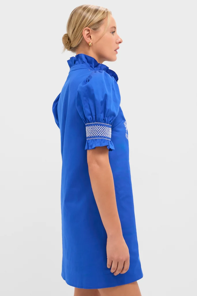 Royal Blue with White Embroidery Lou Lou Mini Dress - Image 3