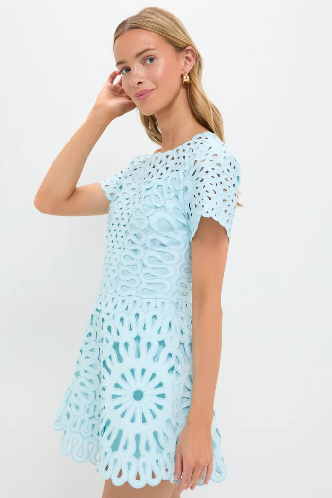Sky Emrys Mini Dress - Image 3