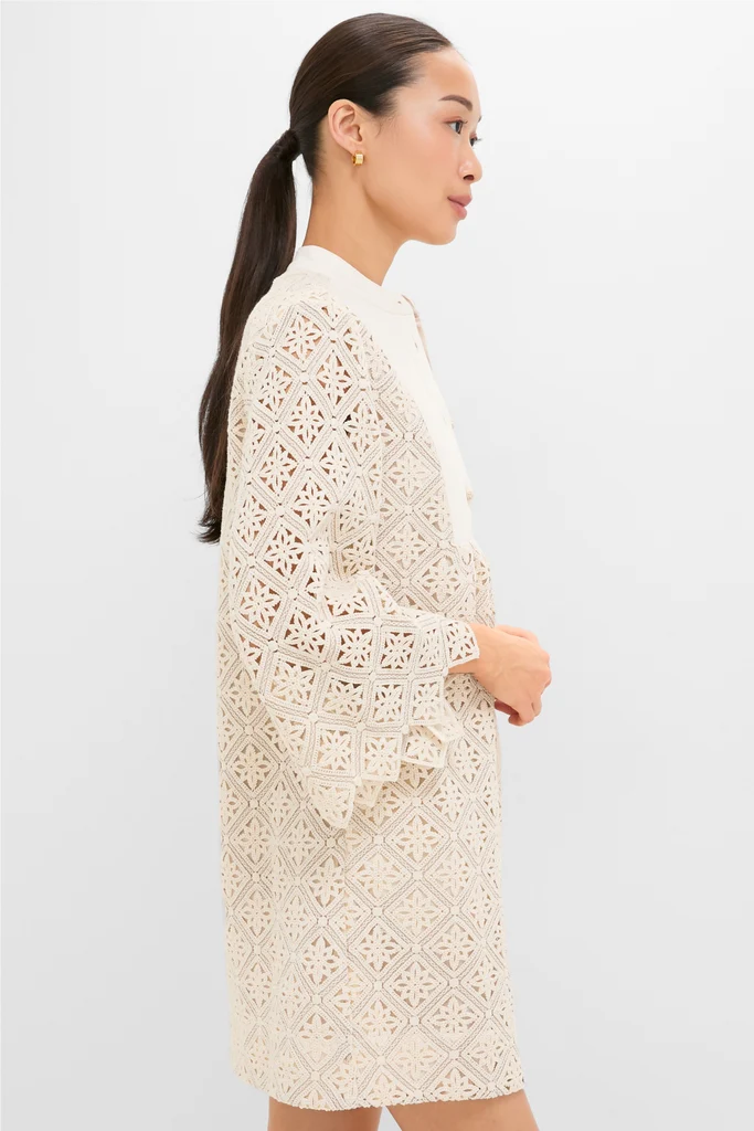 Tan Diamond Lace Mini Calliope Dress - Image 4