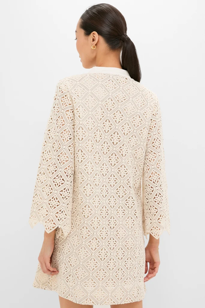 Tan Diamond Lace Mini Calliope Dress - Image 5